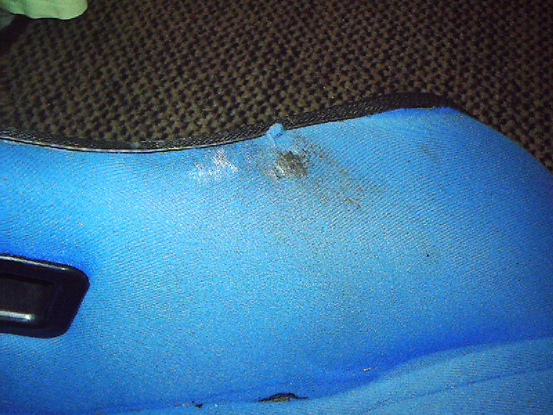 IMAG0011.JPG
