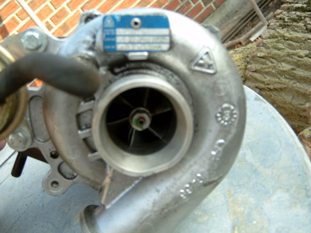 DX330002.JPG
