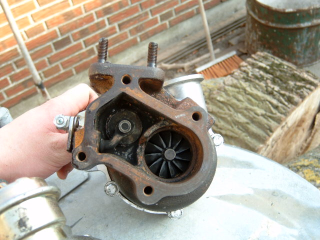 DX330009.JPG