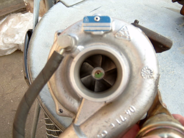 DX330005.JPG
