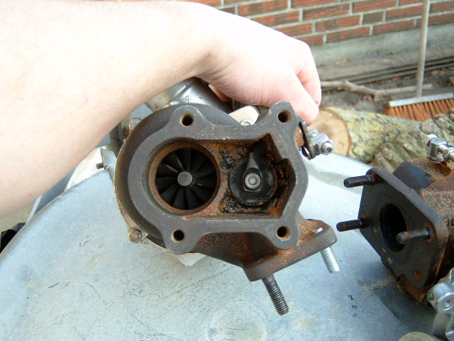 DX330008.JPG