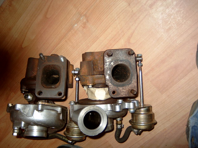 DX330368.JPG