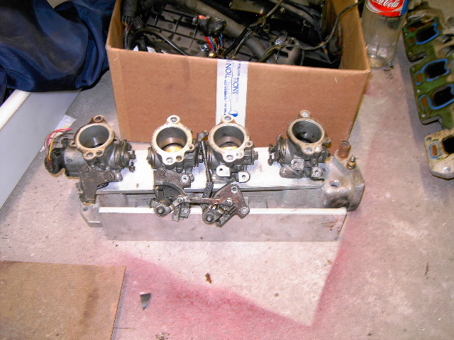 PICT0483.JPG