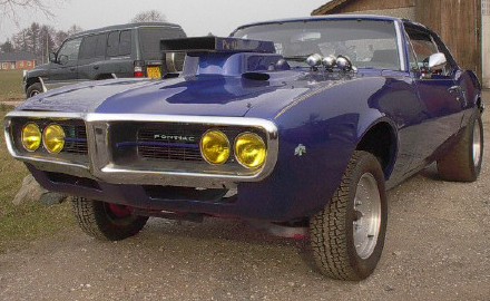 firebird.jpg