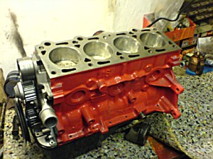 fly224_DSC00682.jpg