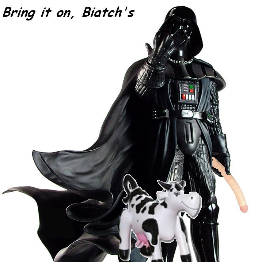 bringitonvaderNY.JPG