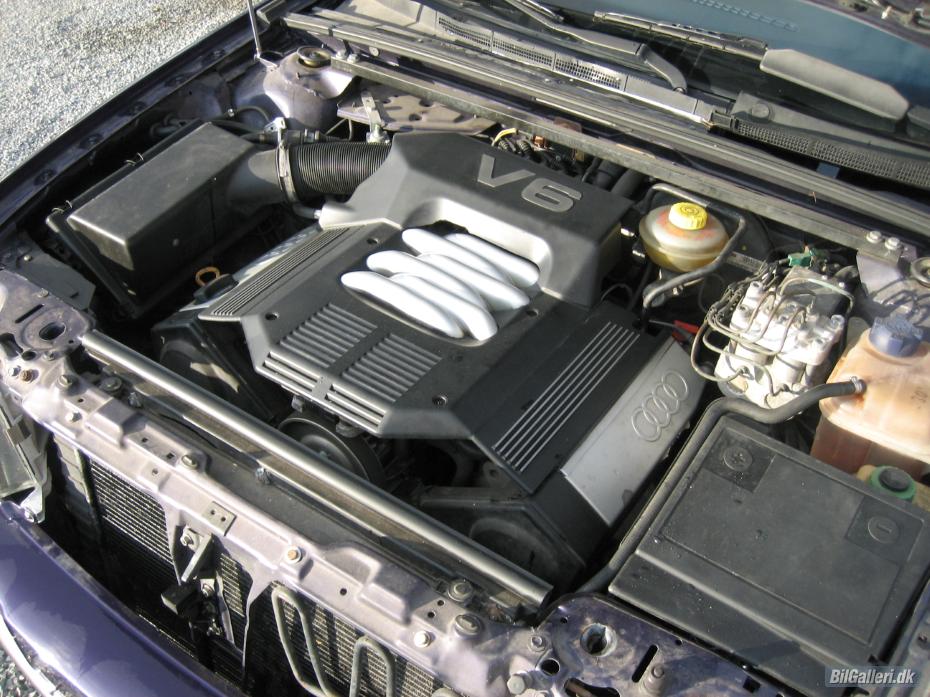 2978862_xl_wm.jpg