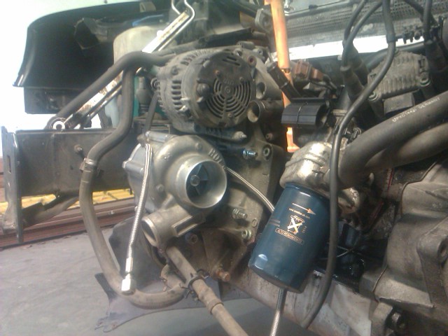 IMAG0233.jpg