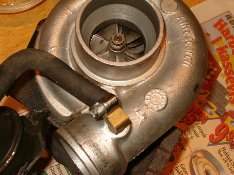 turbot2522.JPG