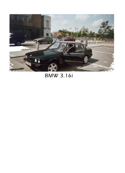 363262.jpg