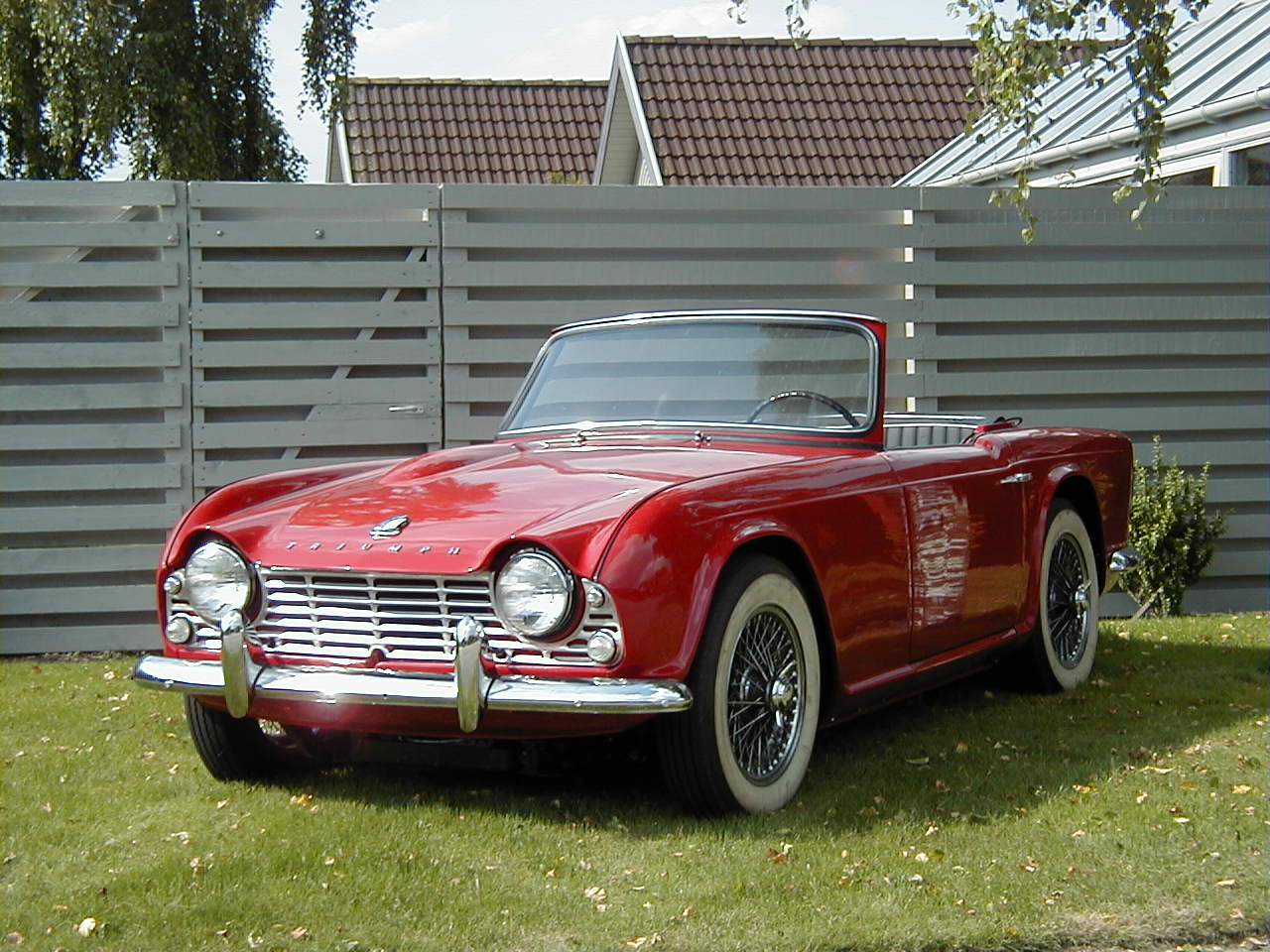 Triumph På græs.JPG